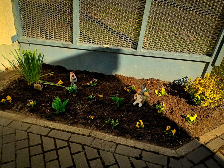 Die Pflege pflanzt den (P)frühling Teil 2:
Auch dieses Kleinod der Gartenkunst auf der Kussel wollten wir euch nicht vorenthalt…